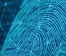 On The Road to Zero-Touch End to End Network Design and Optimization